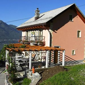 Ferienwohnung Agriturismo Cantina Carrara Gordola Exterior photo