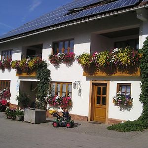 Villa Ferienhof Ring Schönthal Exterior photo