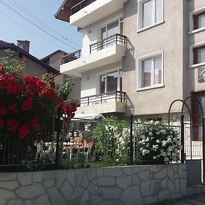 Mira Guest House Dobrinischte Exterior photo