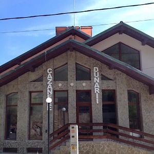 Hotel Pensiunea Cazanele Dunarii Dubova Exterior photo