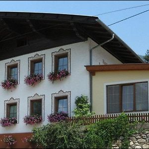 Ferienwohnung Haus Janschütz Flattach Exterior photo