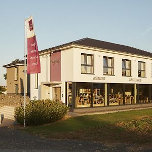 Hotel Meyerhof - Weingut, Vinothek&Gästehaus Flonheim Exterior photo