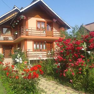 Hotel Nopti De Vara Transfagarasan Capatineni-Paminteni Exterior photo