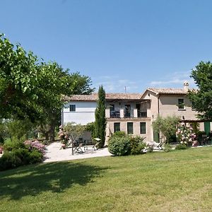 Ferienwohnung Vigna Sant' Amico Country House Morro dʼAlba Exterior photo