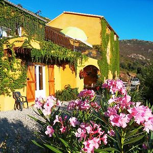 Hotel A Pianella Castirla Exterior photo