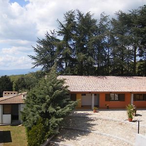 Villa Agriturismo Usurtala Orani Exterior photo