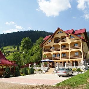 Hotel Pensiunea Alunis Sadová Exterior photo