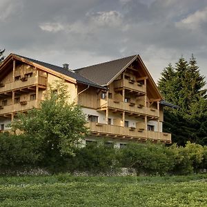 Garni Appartments Helvetia Niederdorf Exterior photo