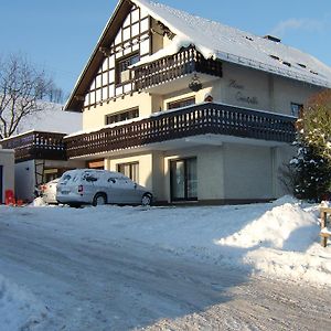 Ferienwohnung Haus Cristallo Olsberg Exterior photo