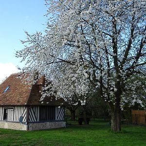 Villa Gite Falafa Normand Pont-Évêque Exterior photo