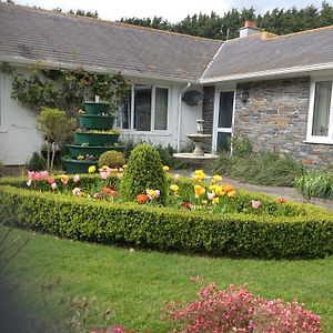 Bed and Breakfast Estuary View Farm Kingsbridge  Exterior photo