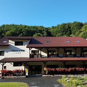 Hotel Pensiunea Floare De Colt Poiana Galdei Exterior photo