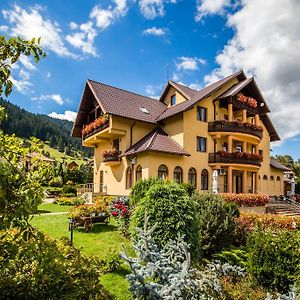 Hotel Pension Dor de Munte Sadová Exterior photo