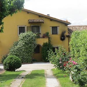 Villa Il Gelso Nero Castelnuovo di Farfa Exterior photo