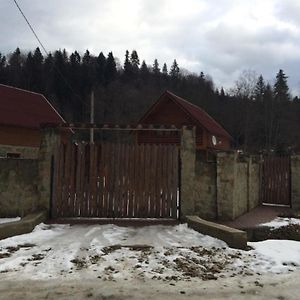 Guest House In Carpathians Myhowe Exterior photo