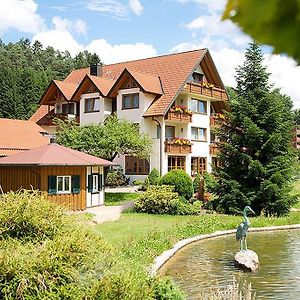 Ferienwohnung Landhaus Mühlengrund Baiersbronn Exterior photo