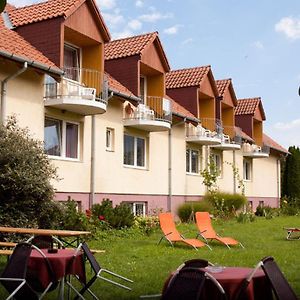 Hotel Ingrid Panzió Bük Exterior photo