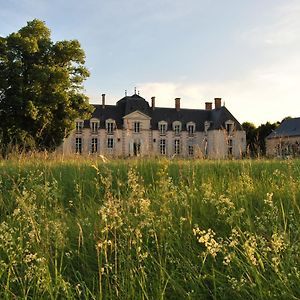 Bed and Breakfast Chateau La Touanne Loire Valley Baccon Exterior photo