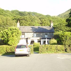 Bed and Breakfast The Dolgoch Bryn-crug Exterior photo