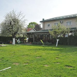 Bed and Breakfast Klet Cinkus Hrvatski Leskovac Exterior photo