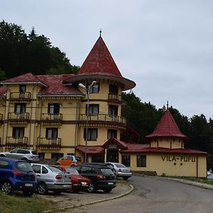 Hotel Vila Pufu Slănic-Moldova Exterior photo