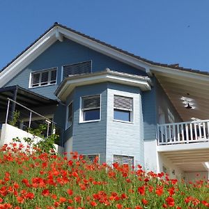 Bed and Breakfast B+B Passifleur Delémont Exterior photo