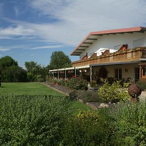 Hotel Gästehaus Vinetum Altdorf  Exterior photo