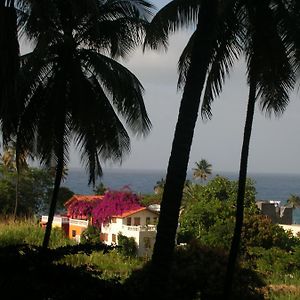 Bed and Breakfast Aldeia Jerome Paul Exterior photo