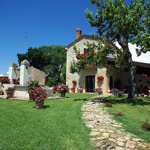 Bed and Breakfast La Tenuta Mozzagrogna Exterior photo