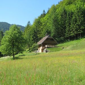 Villa Chalet Brloznica Pod Veliko Planino Luče Room photo