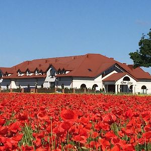 Hotel Dwor Galicja Stalowa Wola Exterior photo