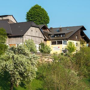Villa Ferienhof Schneiderweg Laussa Exterior photo