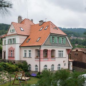 Hotel Penzion Signum Laudis Velké Hamry Exterior photo