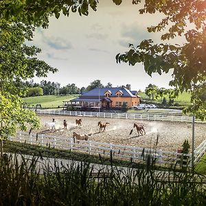 Hotel Horse Riding - Jezdecky Areal Tršice Exterior photo