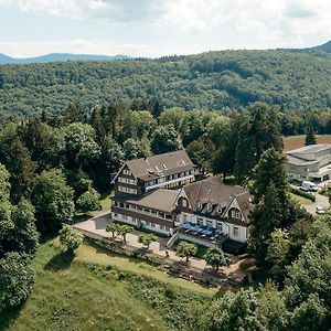 Bienenberg - Das Genusshotel im Grünen - Liestal Exterior photo