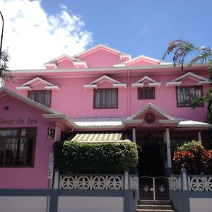 Hotel Fleur De Lys San José Exterior photo