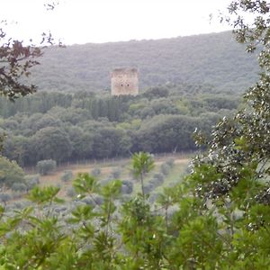 Hotel Tenuta Uccellina Magliano in Toscana Exterior photo