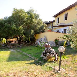 Villa Agriturismo Sa Inza Torpè Exterior photo