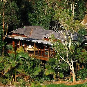 Villa Wollumbin Palms Rainforest Retreat Uki Exterior photo