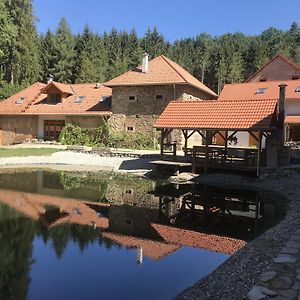 Hotel Zevluv Mlyn Nové Hrady Exterior photo