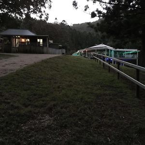 Bed and Breakfast Ingleside Stud Farm Tallebudgera Exterior photo