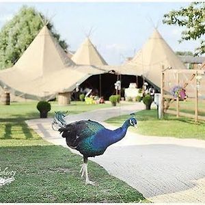 Hotel Skipbridge Farm Shepherds Huts Campground Green Hammerton Exterior photo