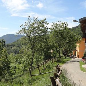 Bed and Breakfast La Casa Del Borgo Brissago-Valtravaglia Exterior photo