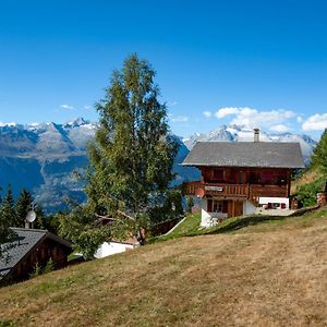 Ferienwohnung Chalet Saflischmannli auf der Alpe Rosswald Exterior photo