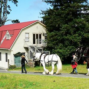 Villa The Carriage House-Bay Of Islands Kerikeri Exterior photo