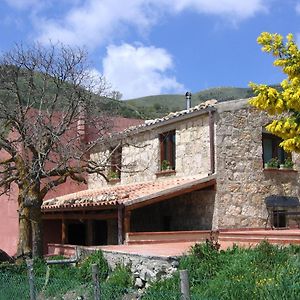 Villa Agriturismo Gelso Castellana Sicula Exterior photo