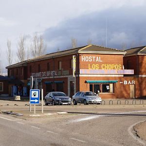 Hotel Hostal Los Chopos Osorno Exterior photo