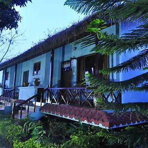 Chitwan Forest Resort Sauraha Exterior photo