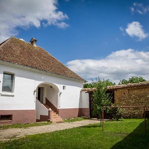 Gasthaus Casa Din Barcut Exterior photo