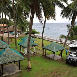 Saltitude Dive&Beach Resort Mabini  Exterior photo